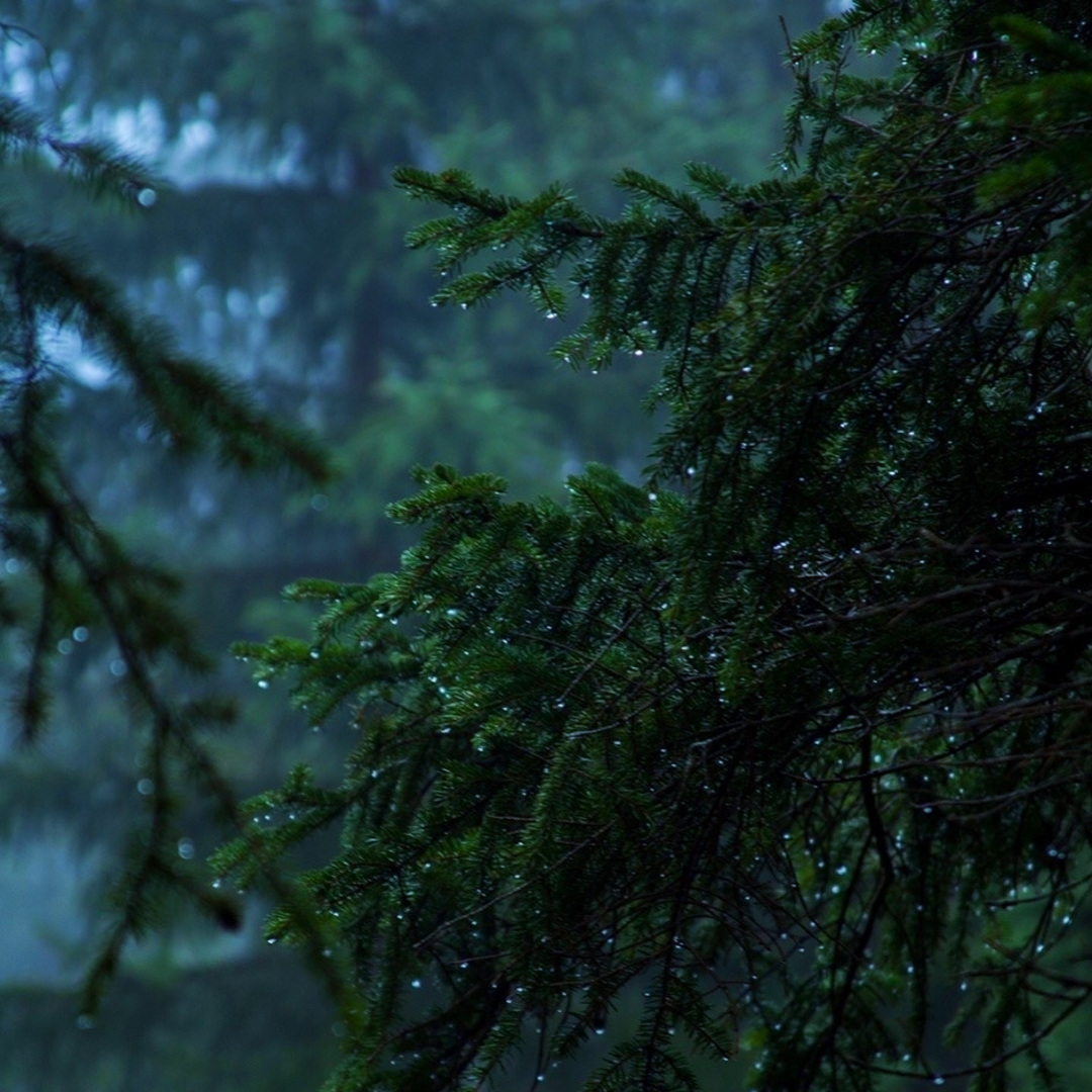 Photo shared by Tony for their Babylist baby registry.