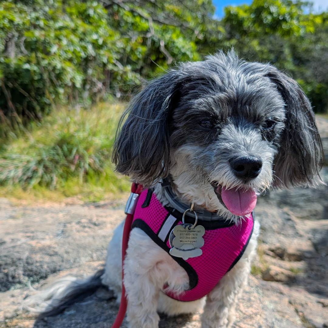 Photo shared by Hannah for their Babylist baby registry.