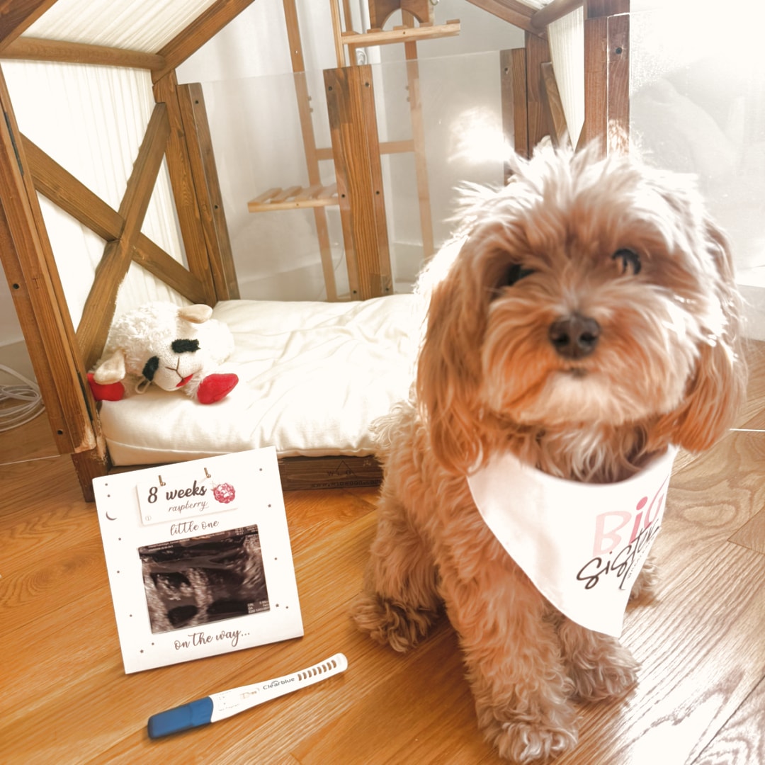 Photo shared by Carmen for their Babylist baby registry.