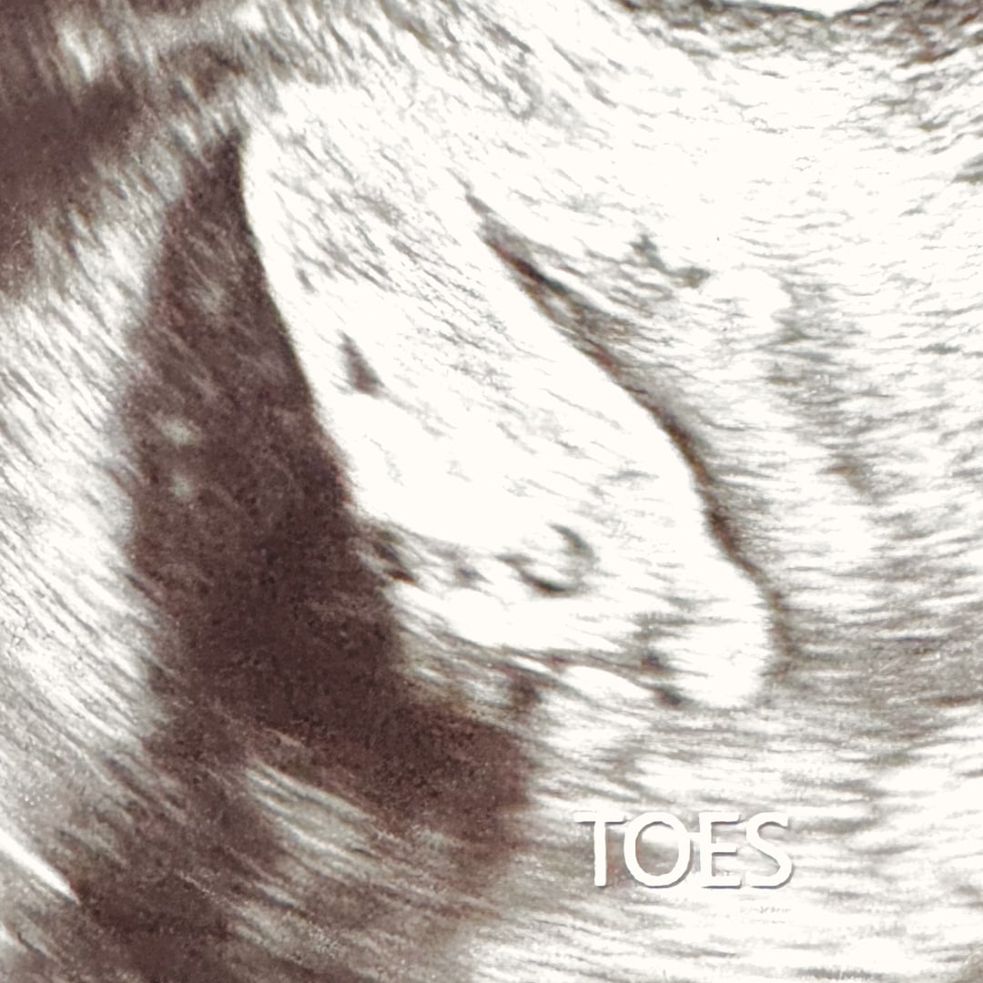 Photo shared by Nadia for their Babylist baby registry.