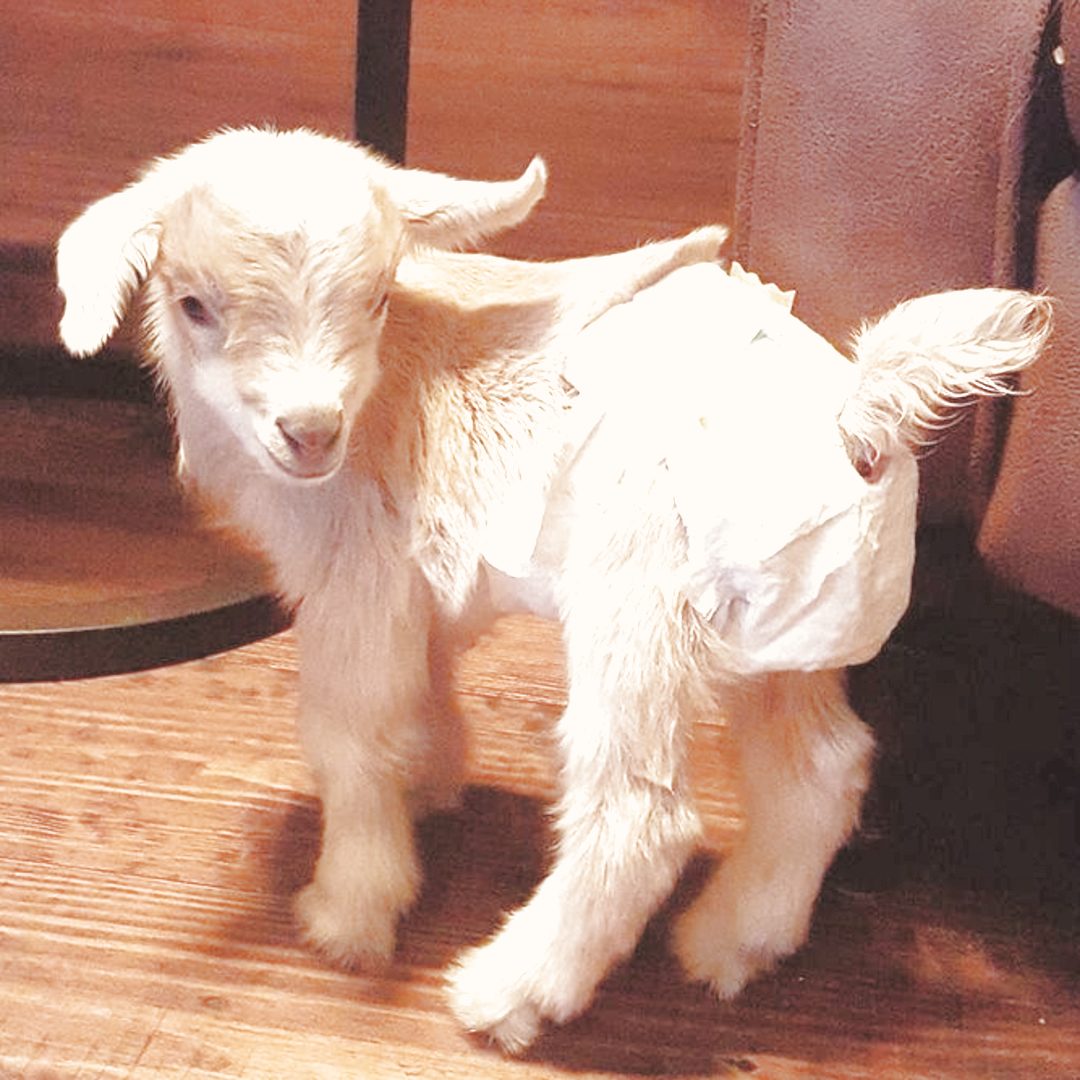 Photo shared by Kunie for their Babylist baby registry.