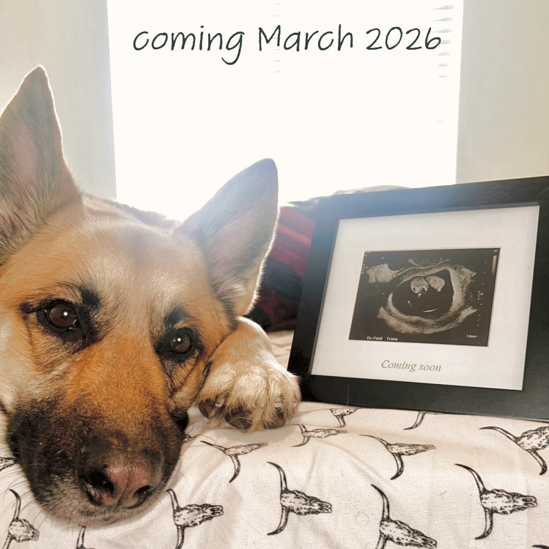 Photo shared by Hailey for their Babylist baby registry.