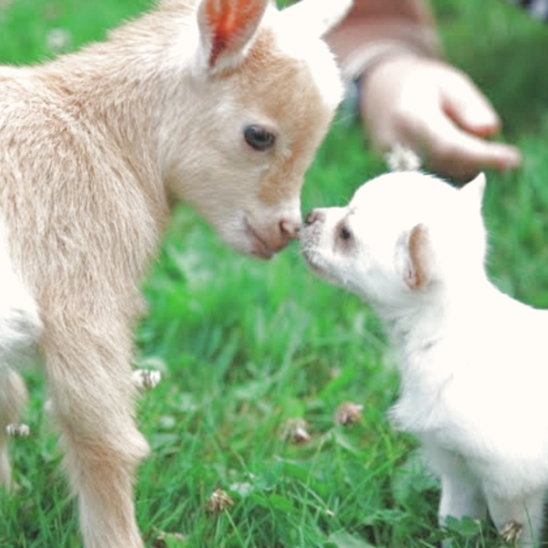 Photo shared by Kunie for their Babylist baby registry.