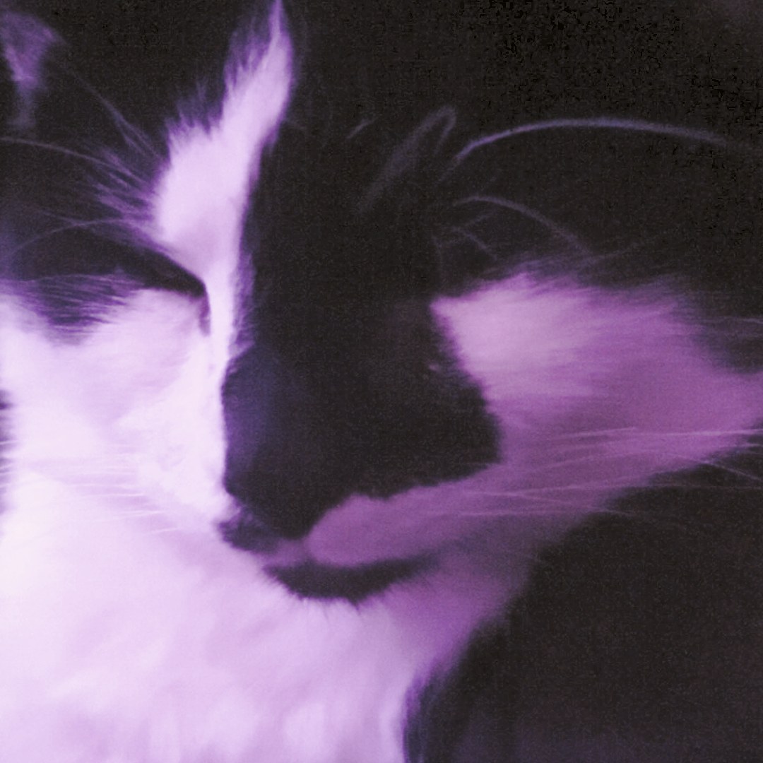 Photo shared by Parker for their Babylist baby registry.