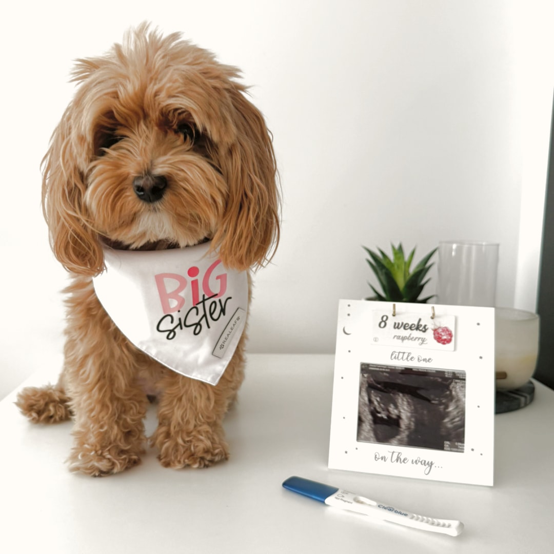 Photo shared by Carmen for their Babylist baby registry.