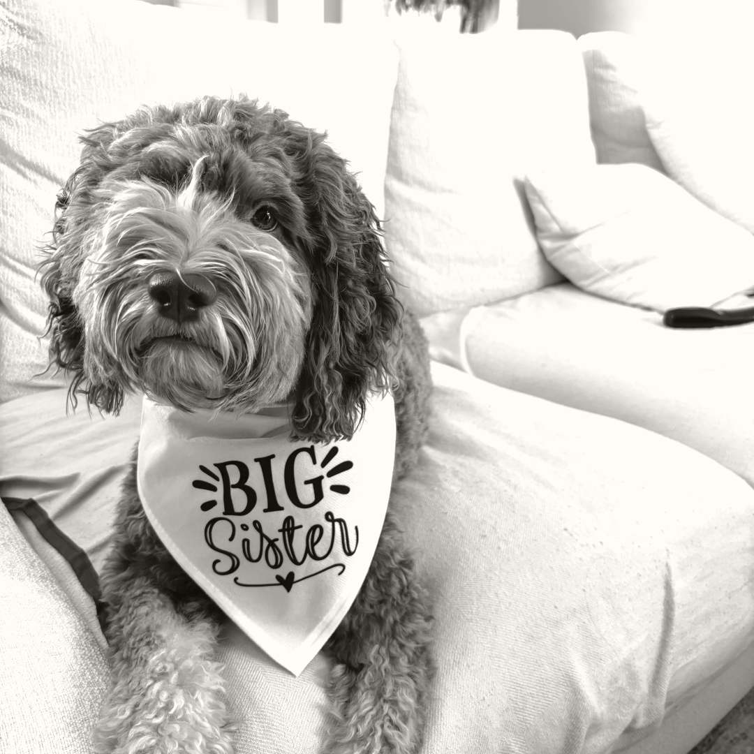 Photo shared by Hasit for their Babylist baby registry.