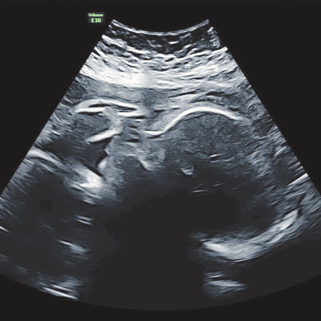 Photo shared by Maritza for their Babylist baby registry.