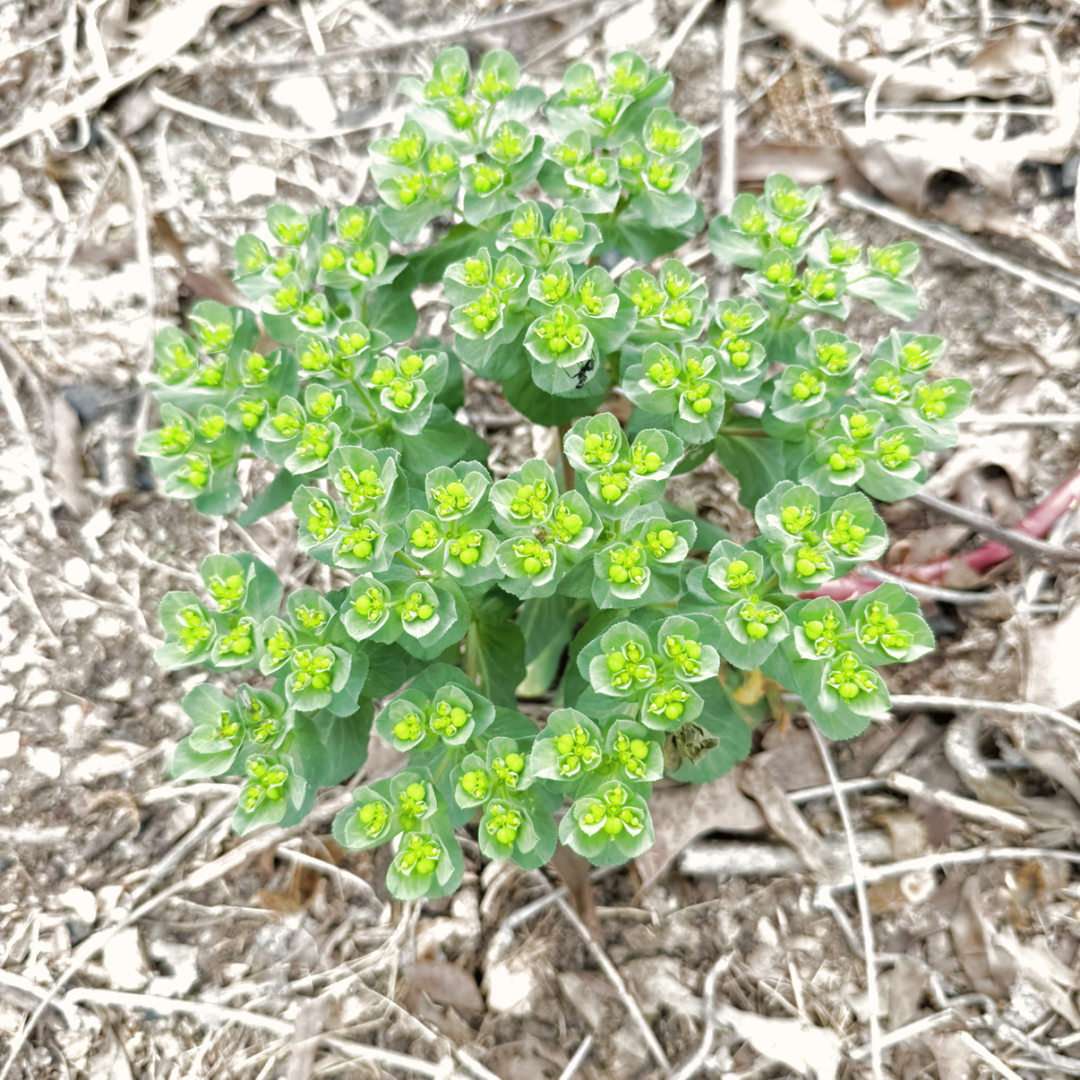 Photo shared by Danielle for their Babylist baby registry.