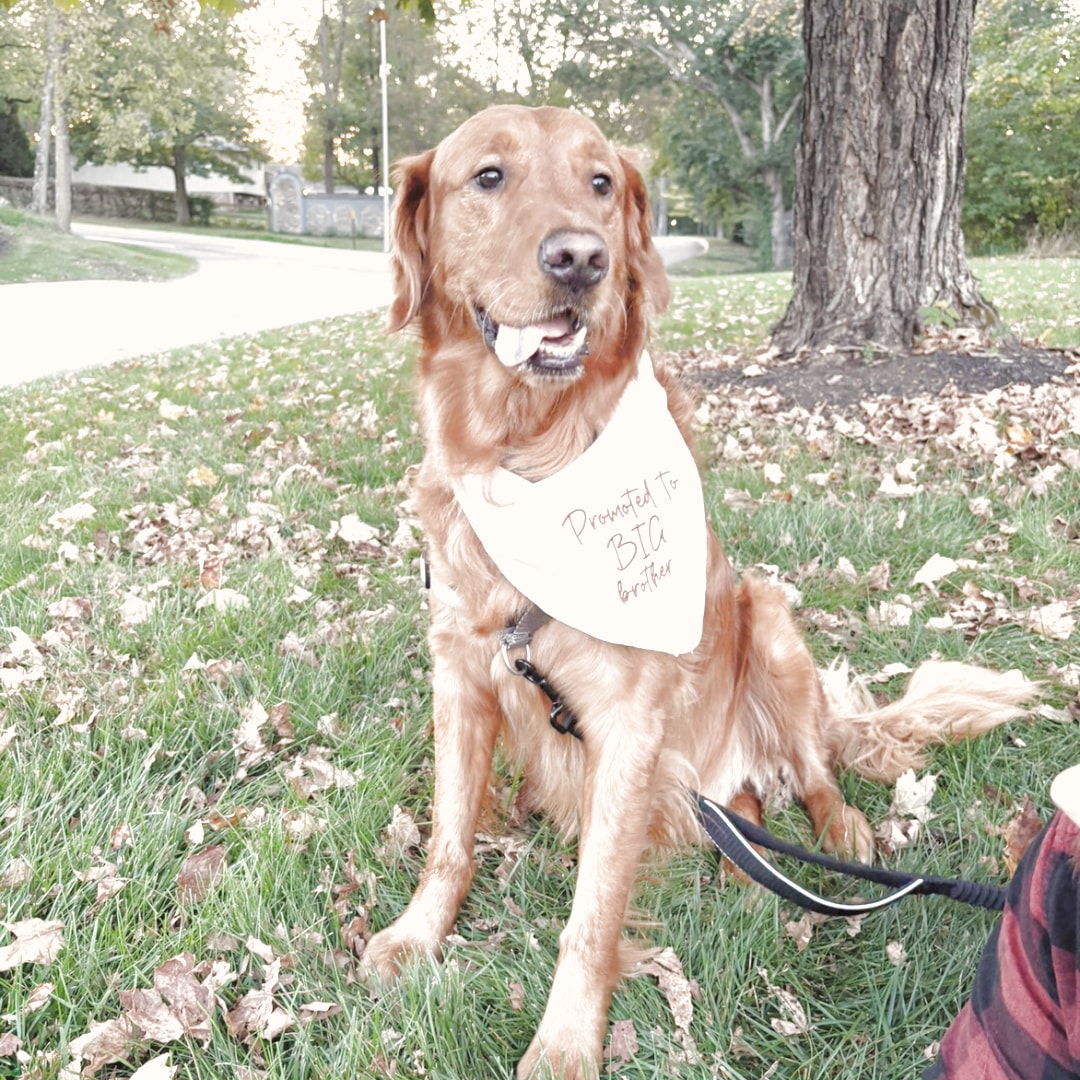 Photo shared by Elizabeth for their Babylist baby registry.