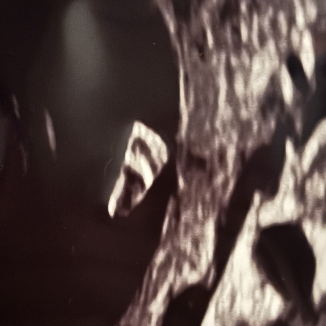 Photo shared by Jestine for their Babylist baby registry.