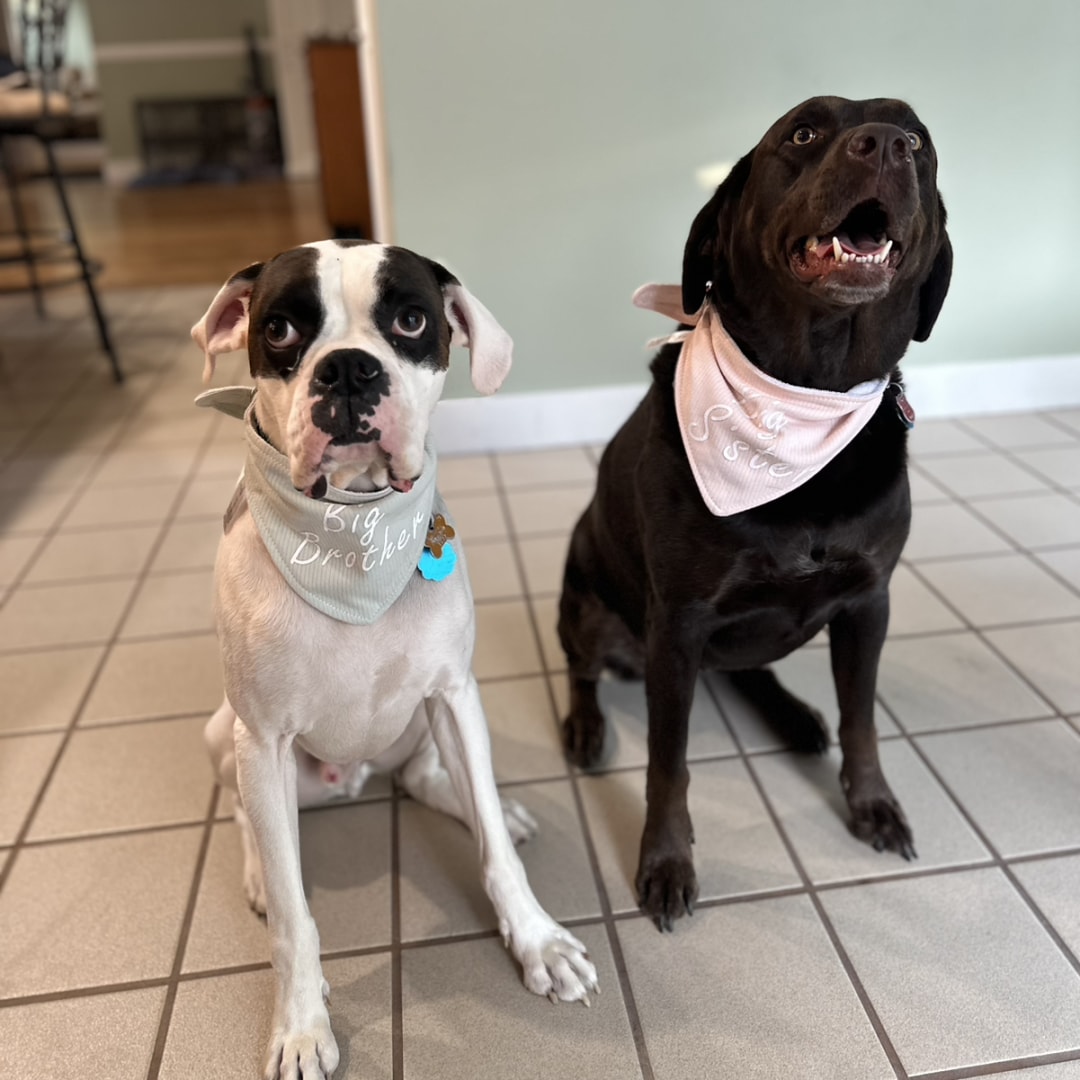 Photo shared by Lauren for their Babylist baby registry.