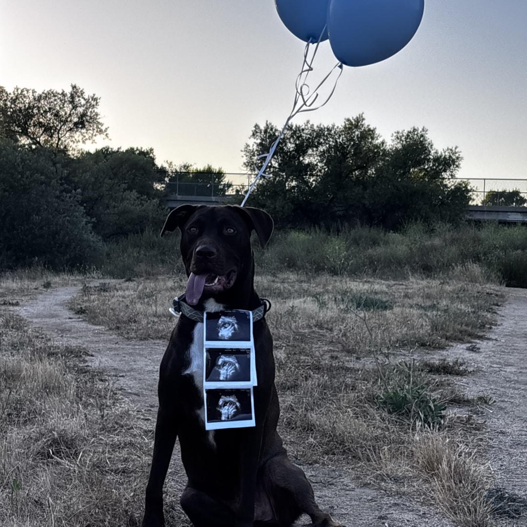 Photo shared by Cheyanne & Ryan for their Babylist baby registry.