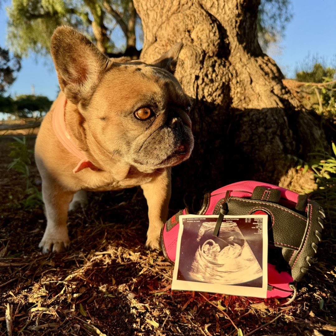 Photo shared by Jenna for their Babylist baby registry.
