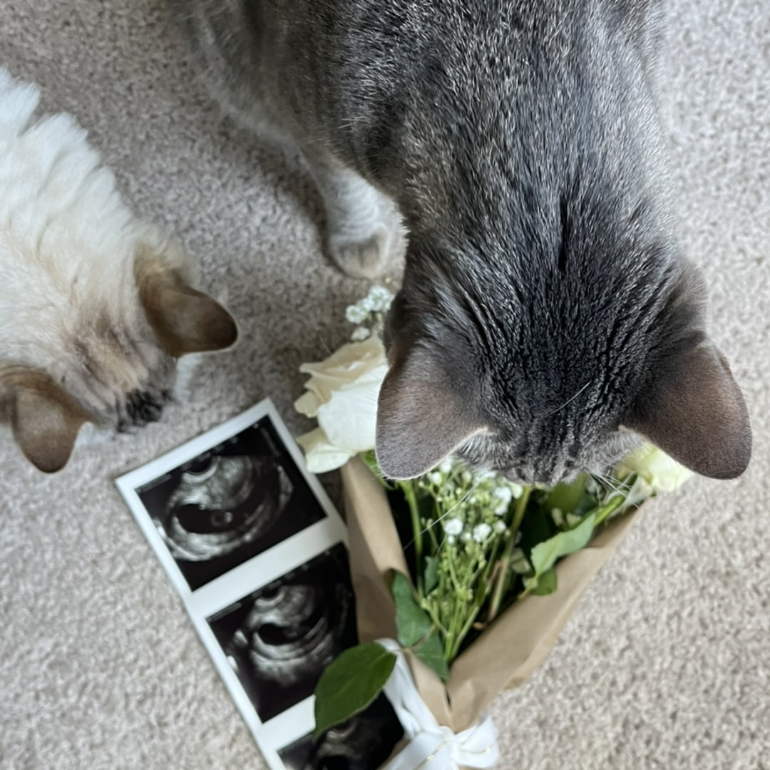 Photo shared by Alma for their Babylist baby registry.