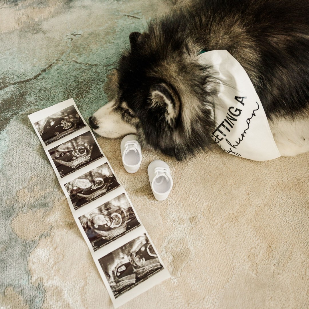 Photo shared by Kristin for their Babylist baby registry.