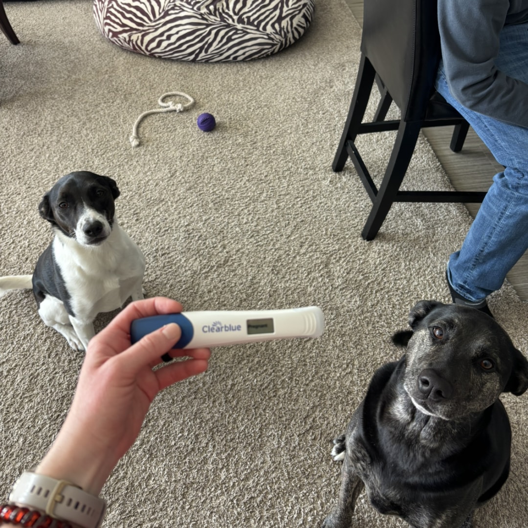 Photo shared by Haley for their Babylist baby registry.