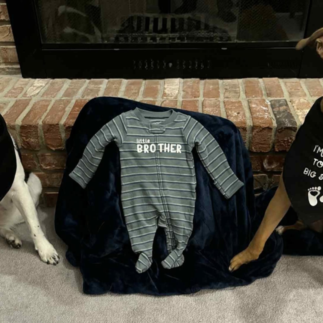 Photo shared by Khaim for their Babylist baby registry.