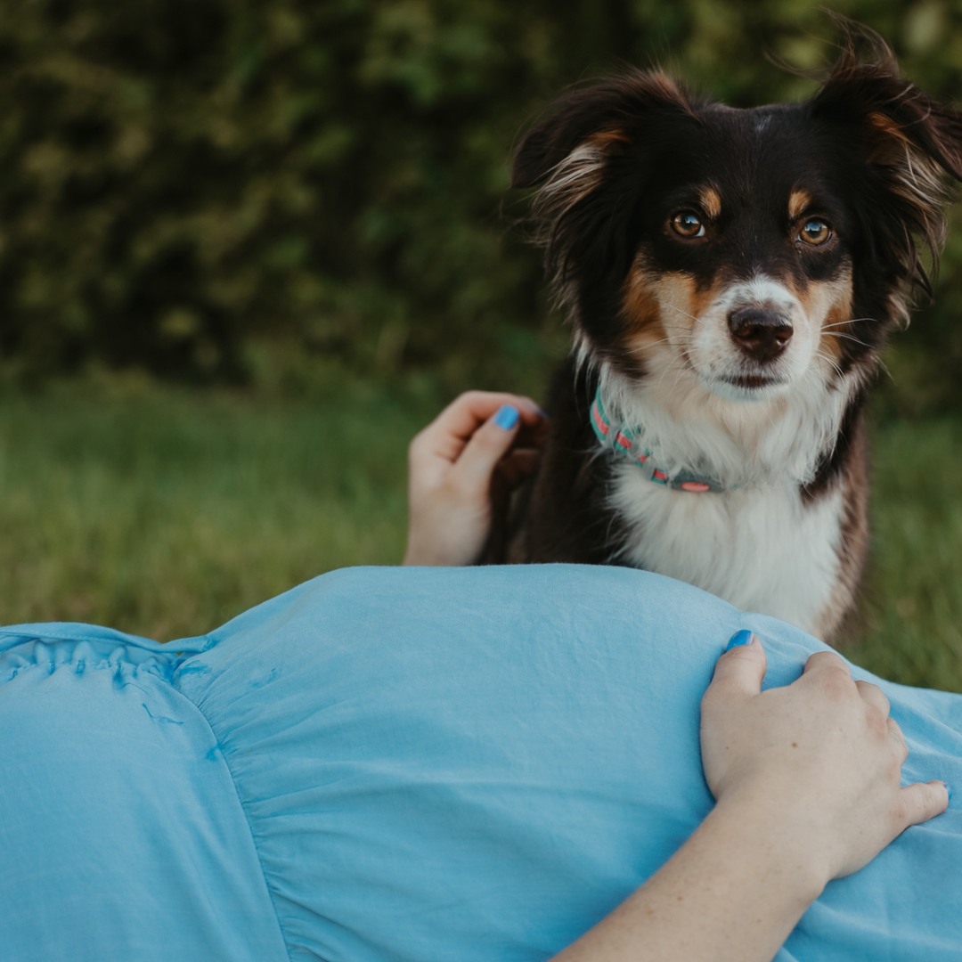 Photo shared by Mckenzie for their Babylist baby registry.