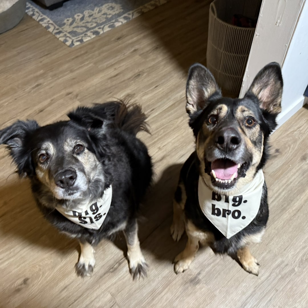 Photo shared by Zoe for their Babylist baby registry.