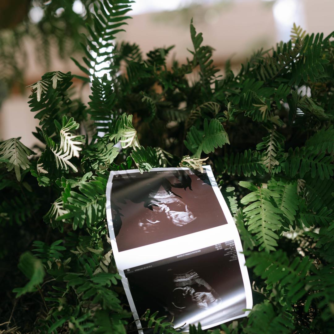 Photo shared by Krysta for their Babylist baby registry.