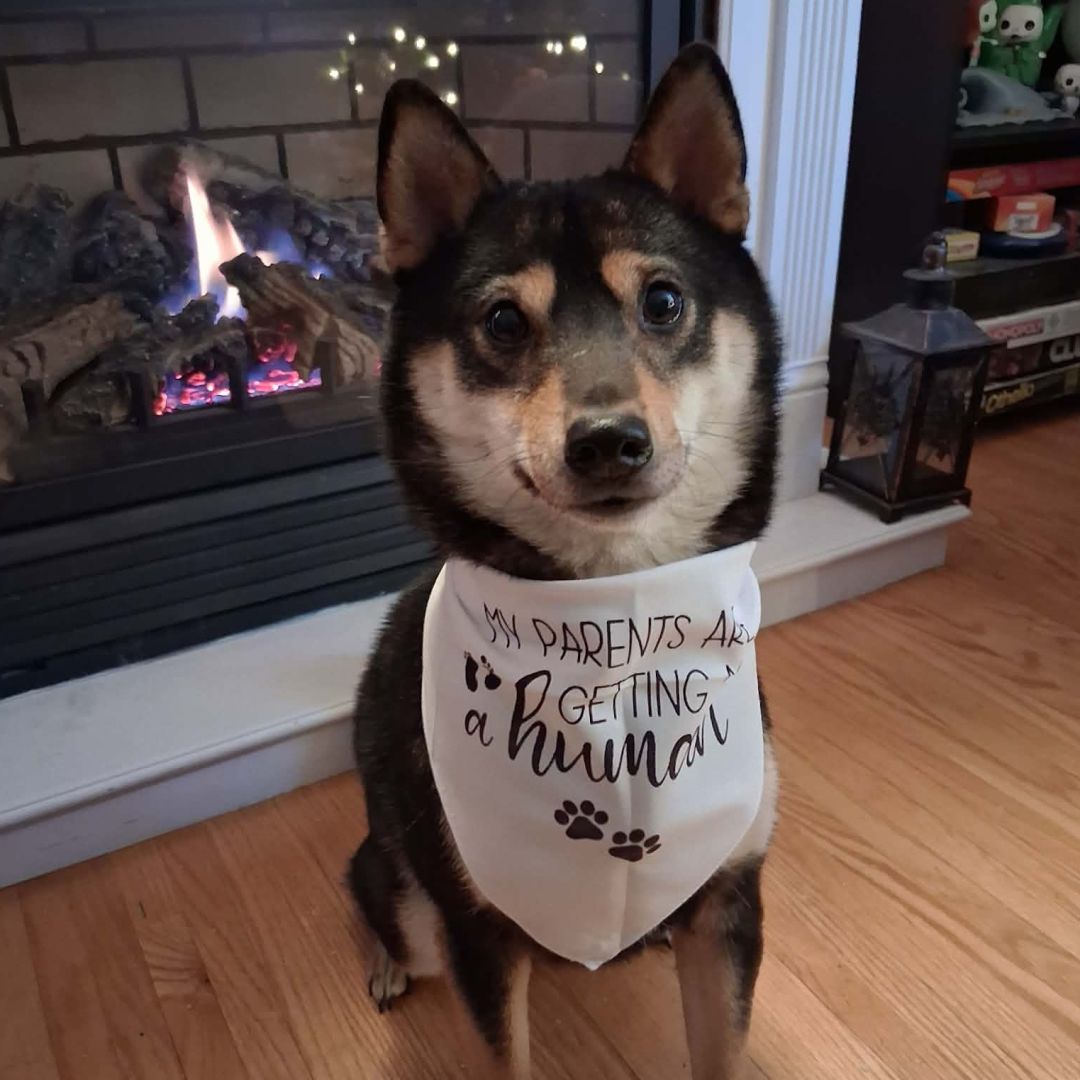 Photo shared by Valerie for their Babylist baby registry.