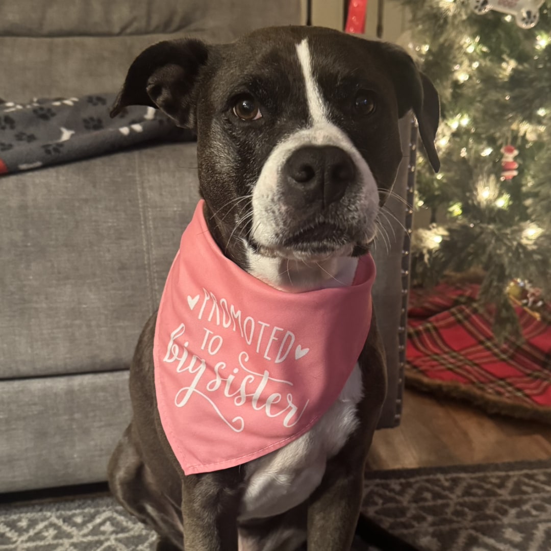 Photo shared by Allyson for their Babylist baby registry.