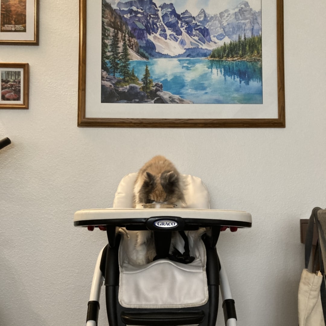 Photo shared by Christie for their Babylist baby registry.