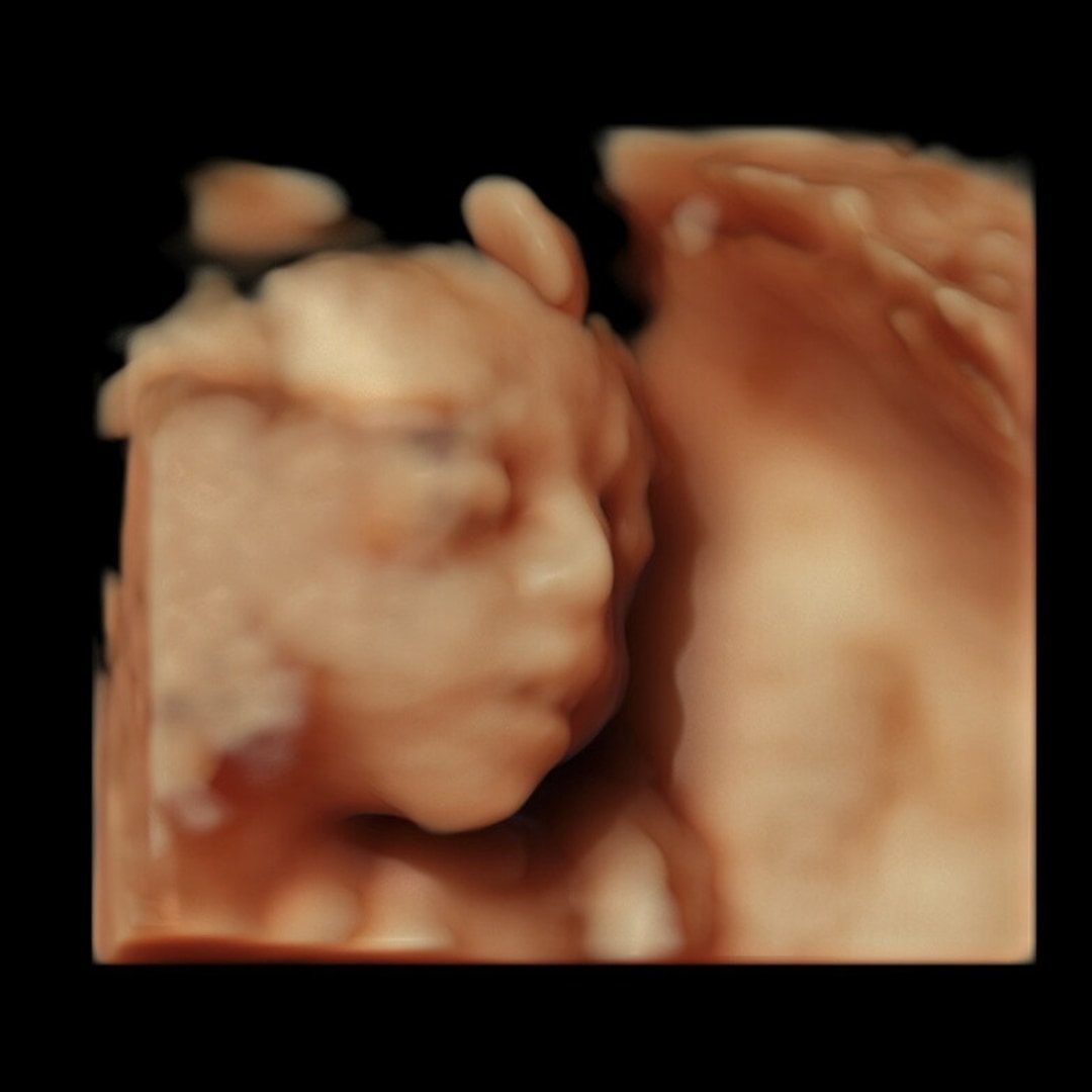 Photo shared by Maissa for their Babylist baby registry.