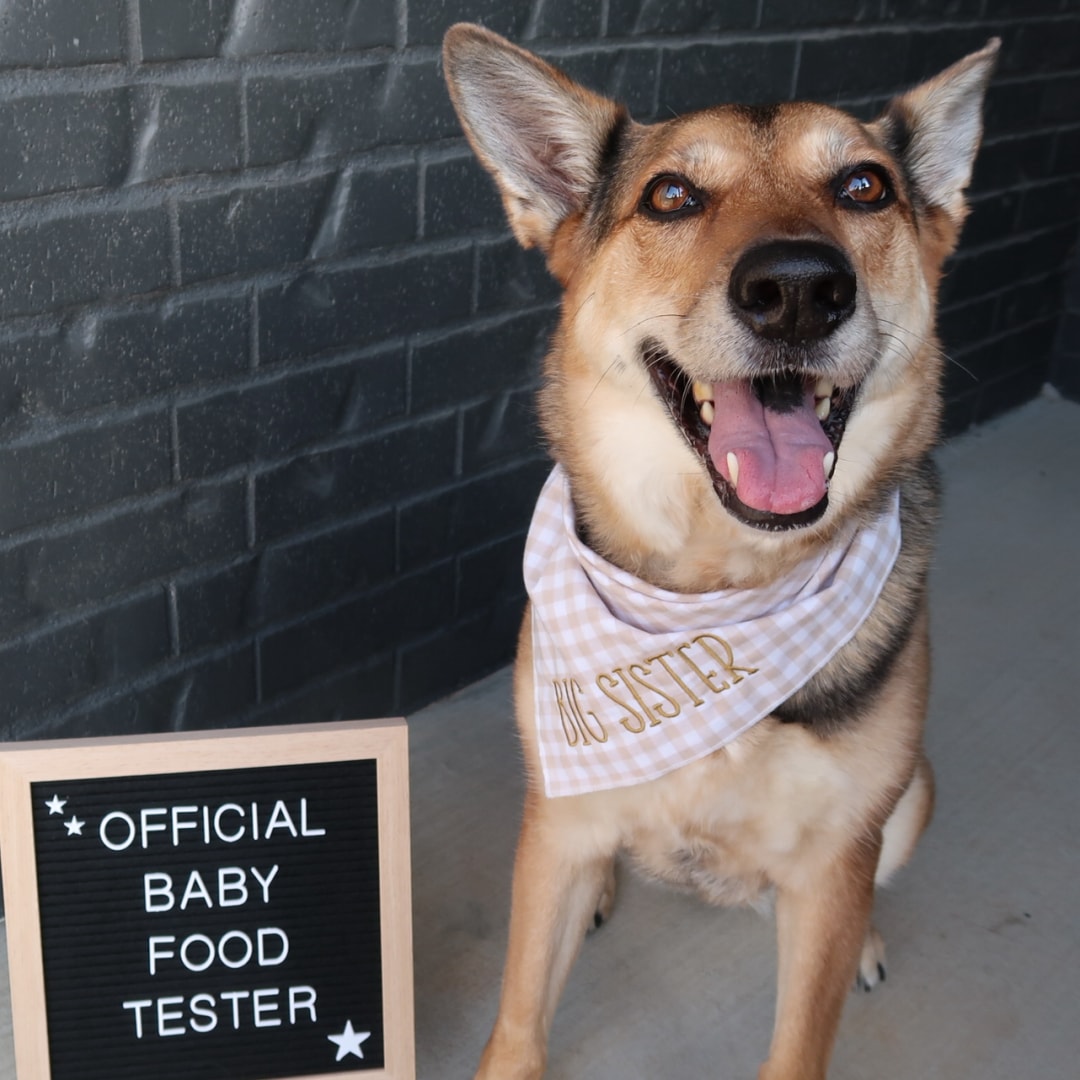 Photo shared by Courtney for their Babylist baby registry.