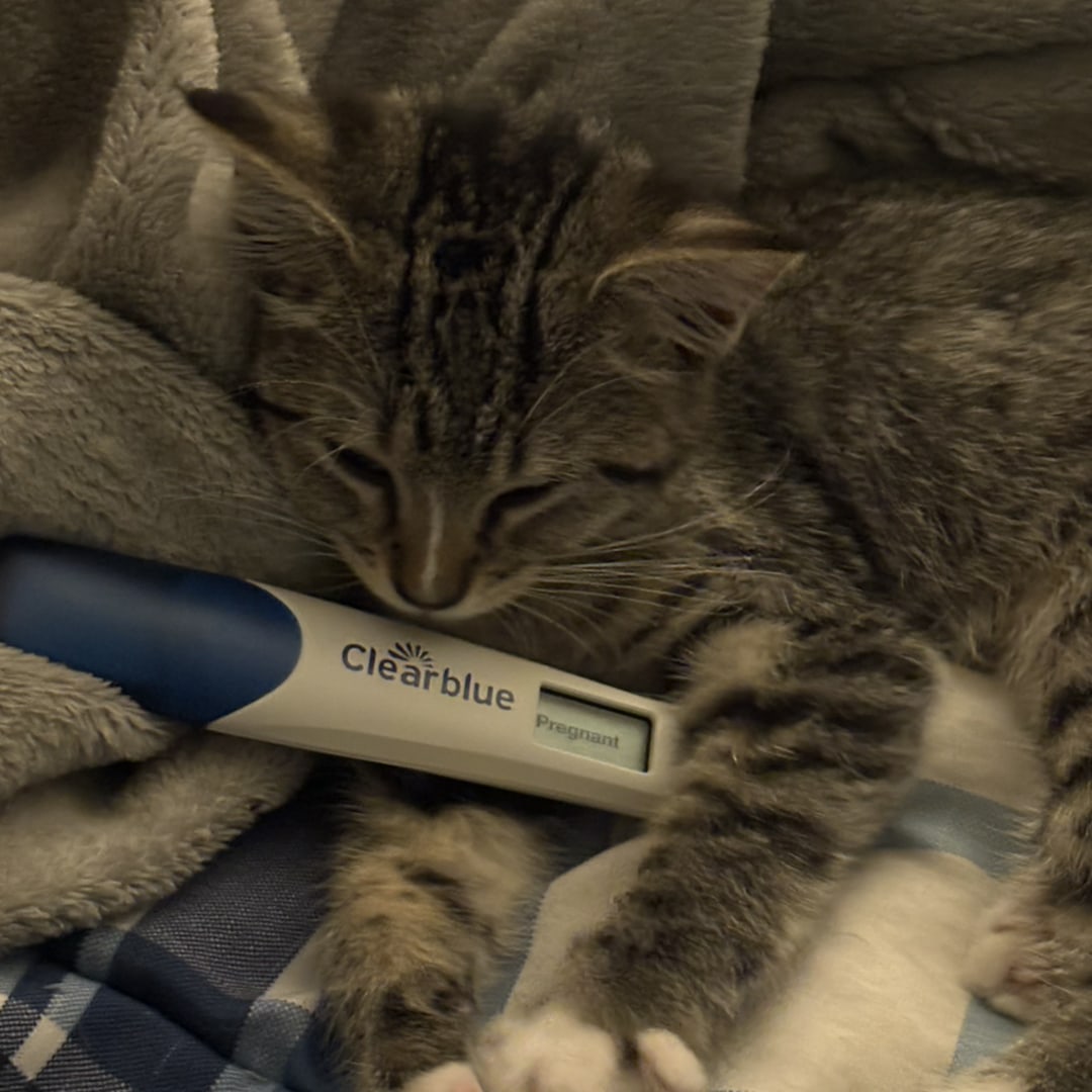Photo shared by Ryan for their Babylist baby registry.