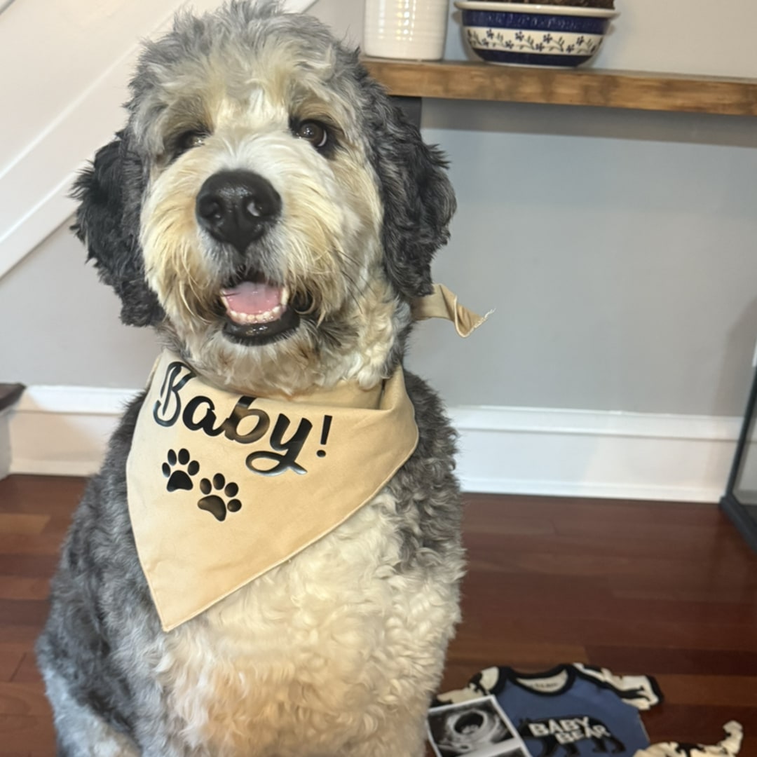 Photo shared by Evan for their Babylist baby registry.