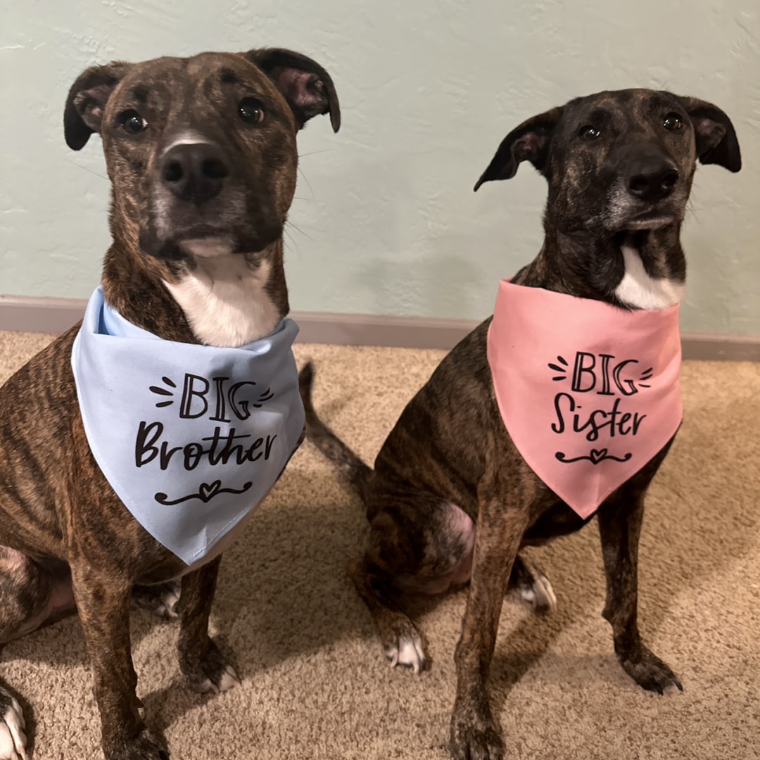 Photo shared by Chelsea for their Babylist baby registry.