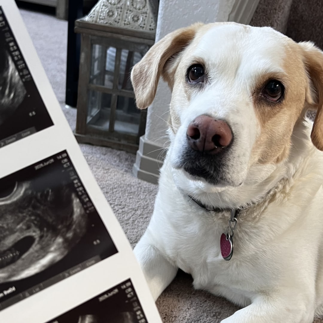 Photo shared by Dana for their Babylist baby registry.