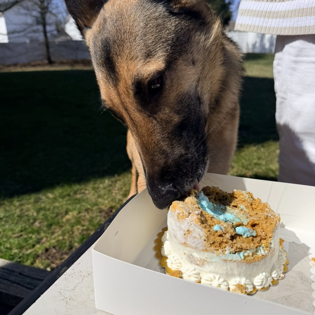 Photo shared by Alissa for their Babylist baby registry.