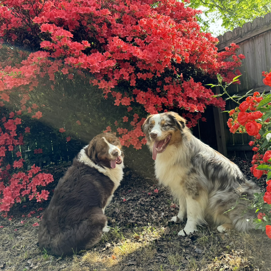 Photo shared by Emily for their Babylist baby registry.