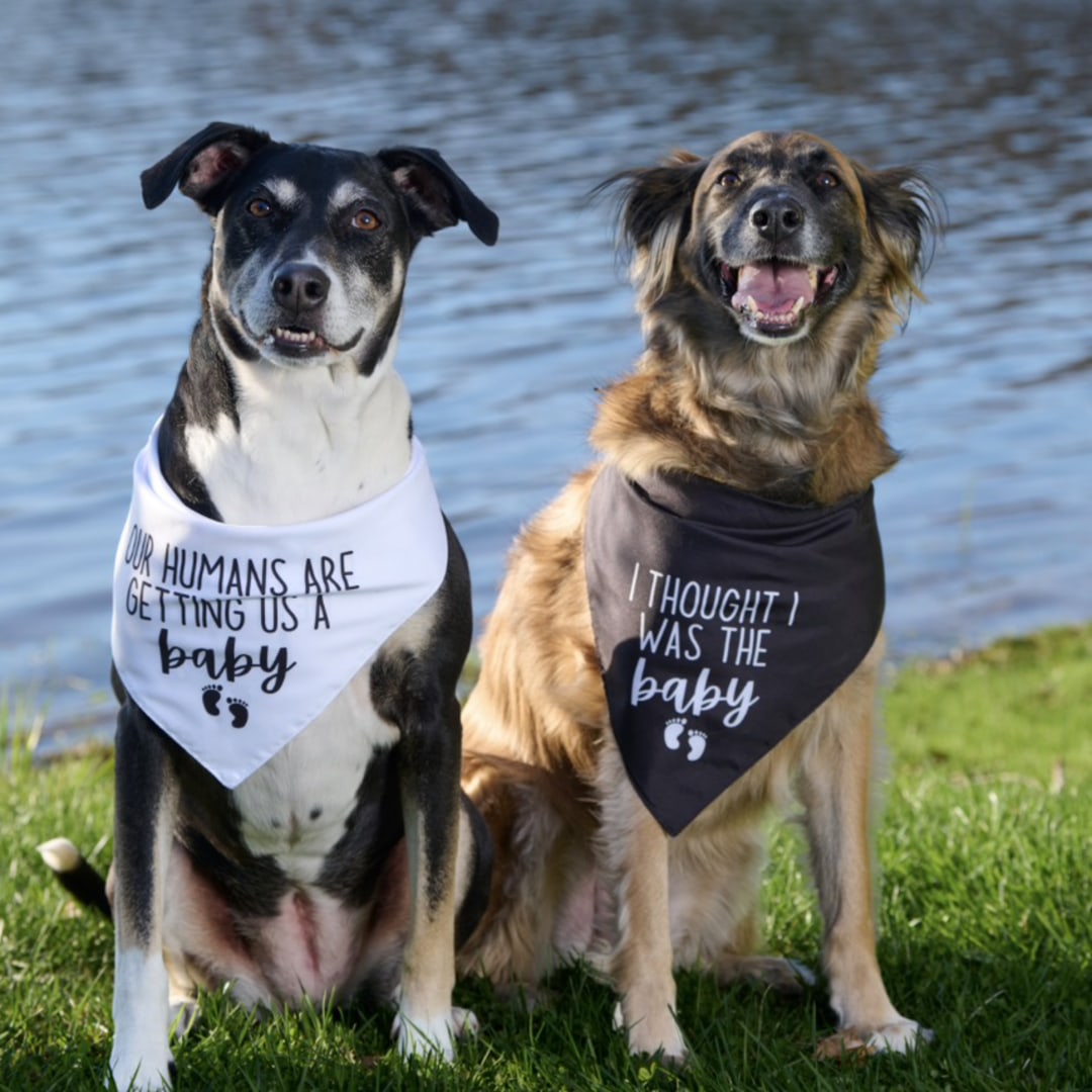 Photo shared by Stephanie for their Babylist baby registry.