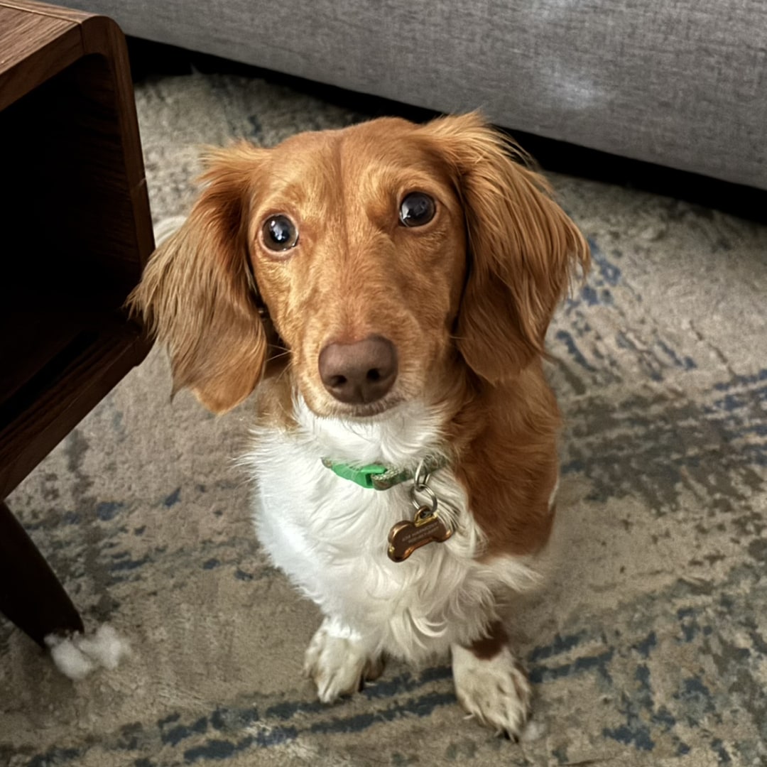 Photo shared by Sylvia for their Babylist baby registry.