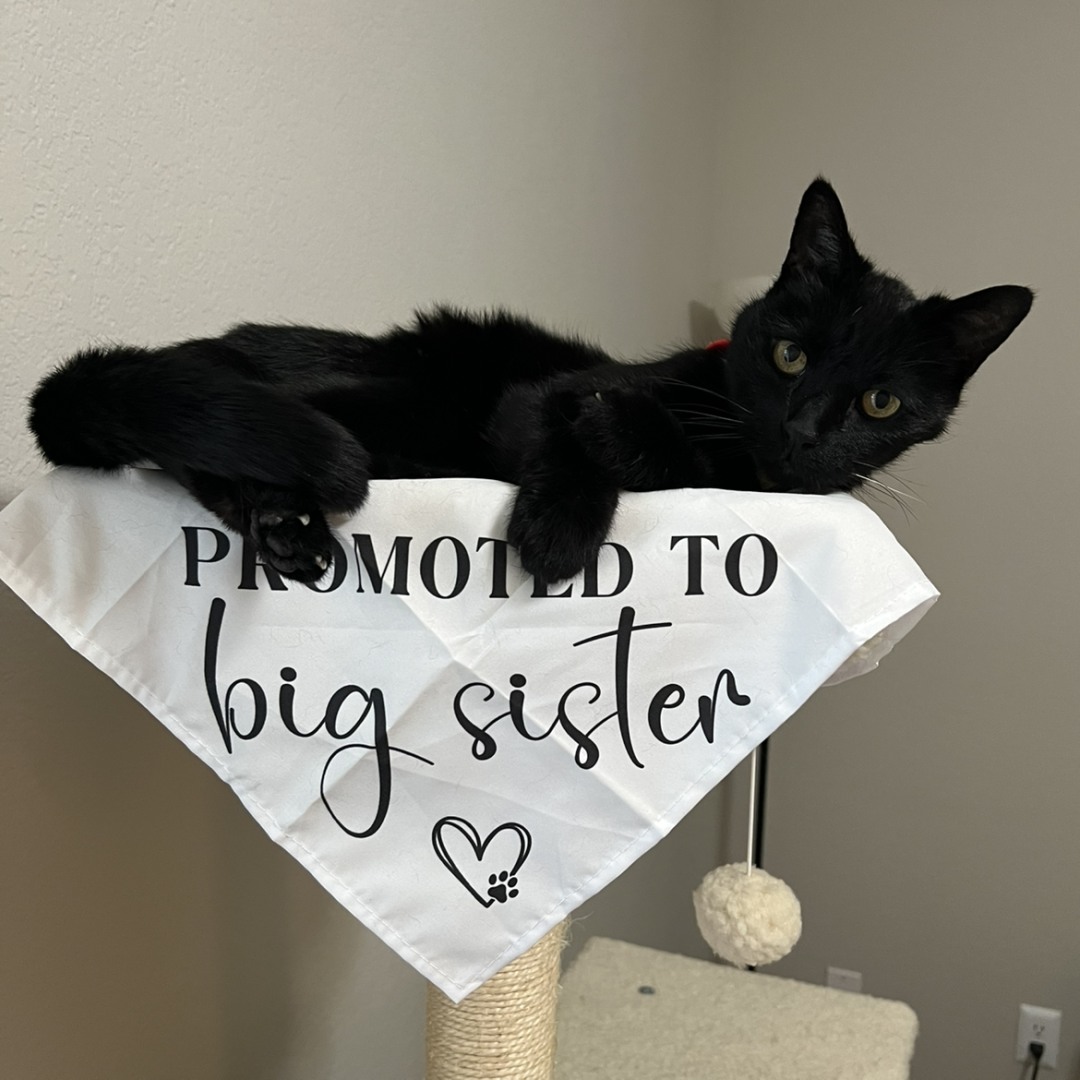 Photo shared by Tara for their Babylist baby registry.