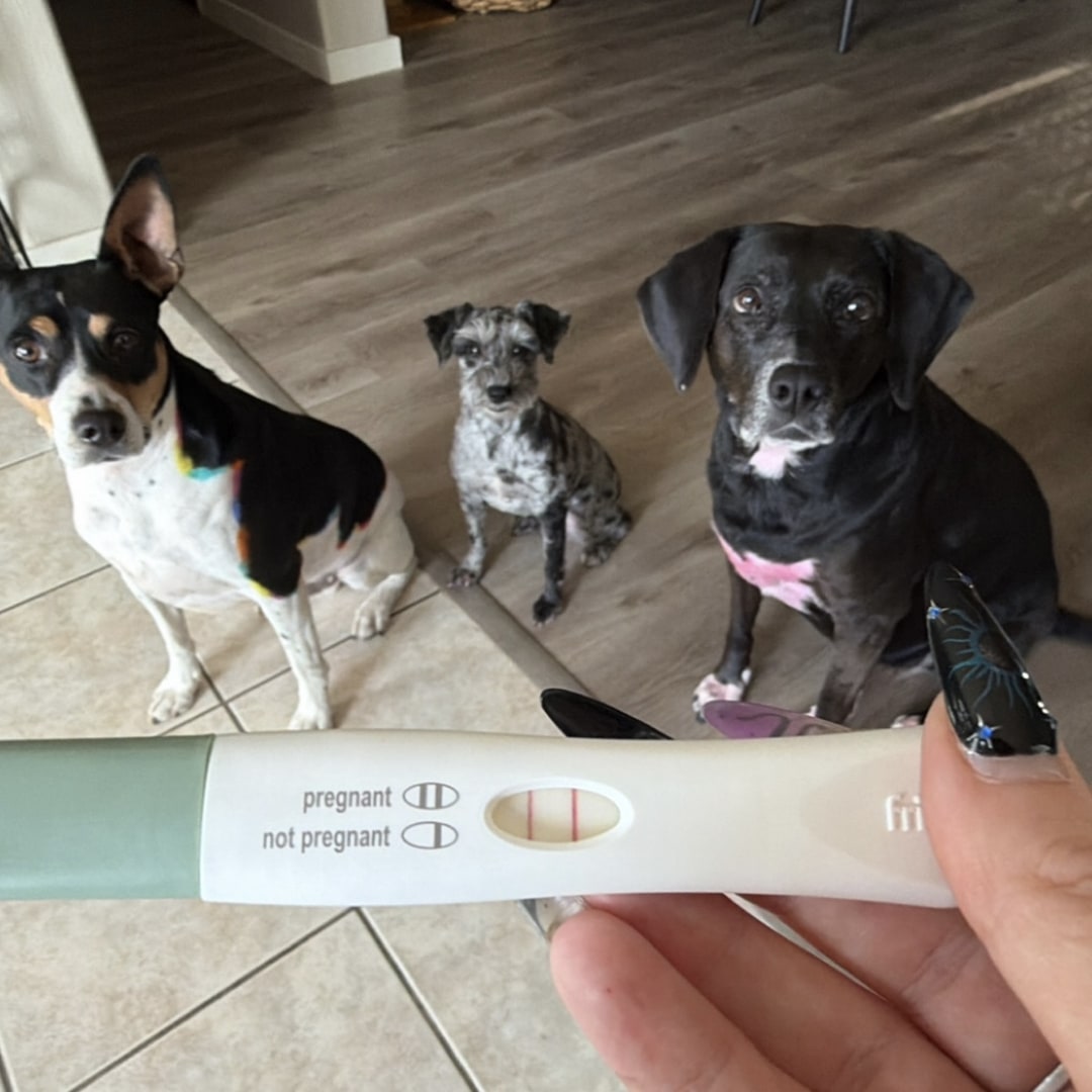 Photo shared by Alexis for their Babylist baby registry.