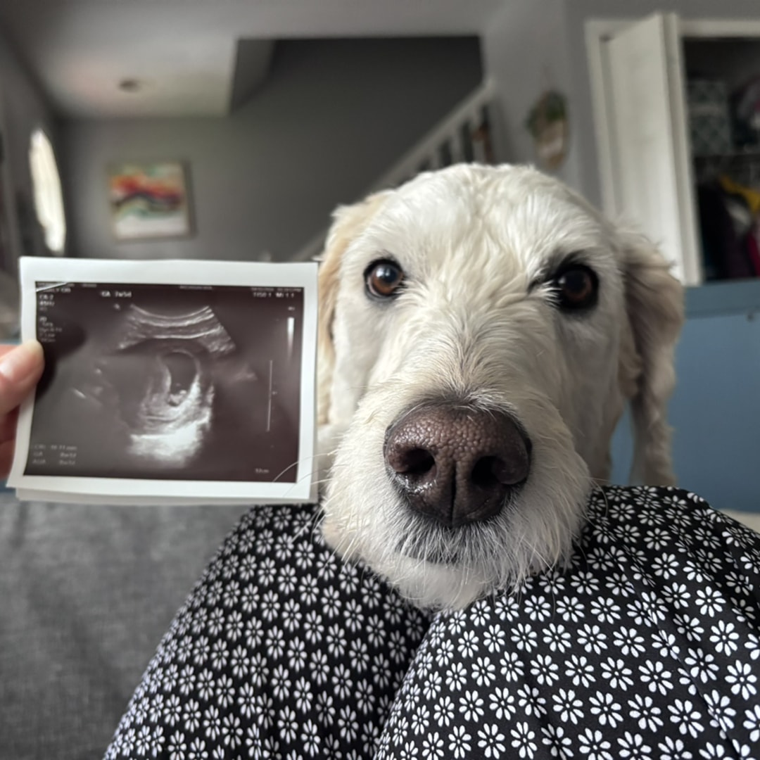 Photo shared by Allison for their Babylist baby registry.