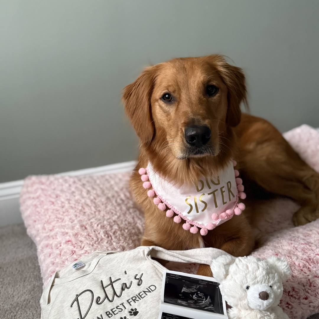 Photo shared by Katelyn for their Babylist baby registry.