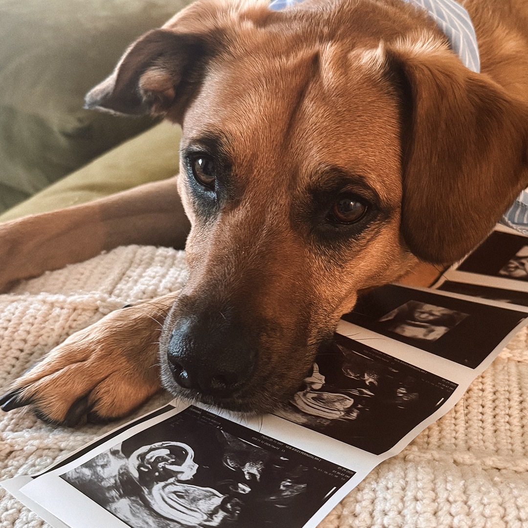 Photo shared by Becca for their Babylist baby registry.