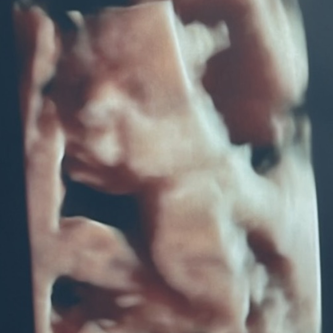 Photo shared by Dixie for their Babylist baby registry.