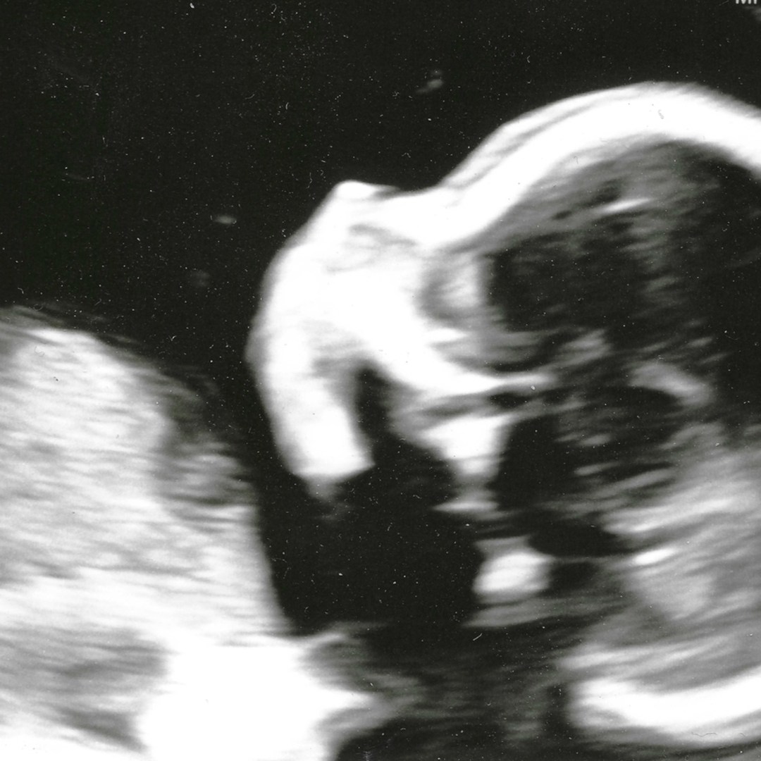 Photo shared by Maggie for their Babylist baby registry.