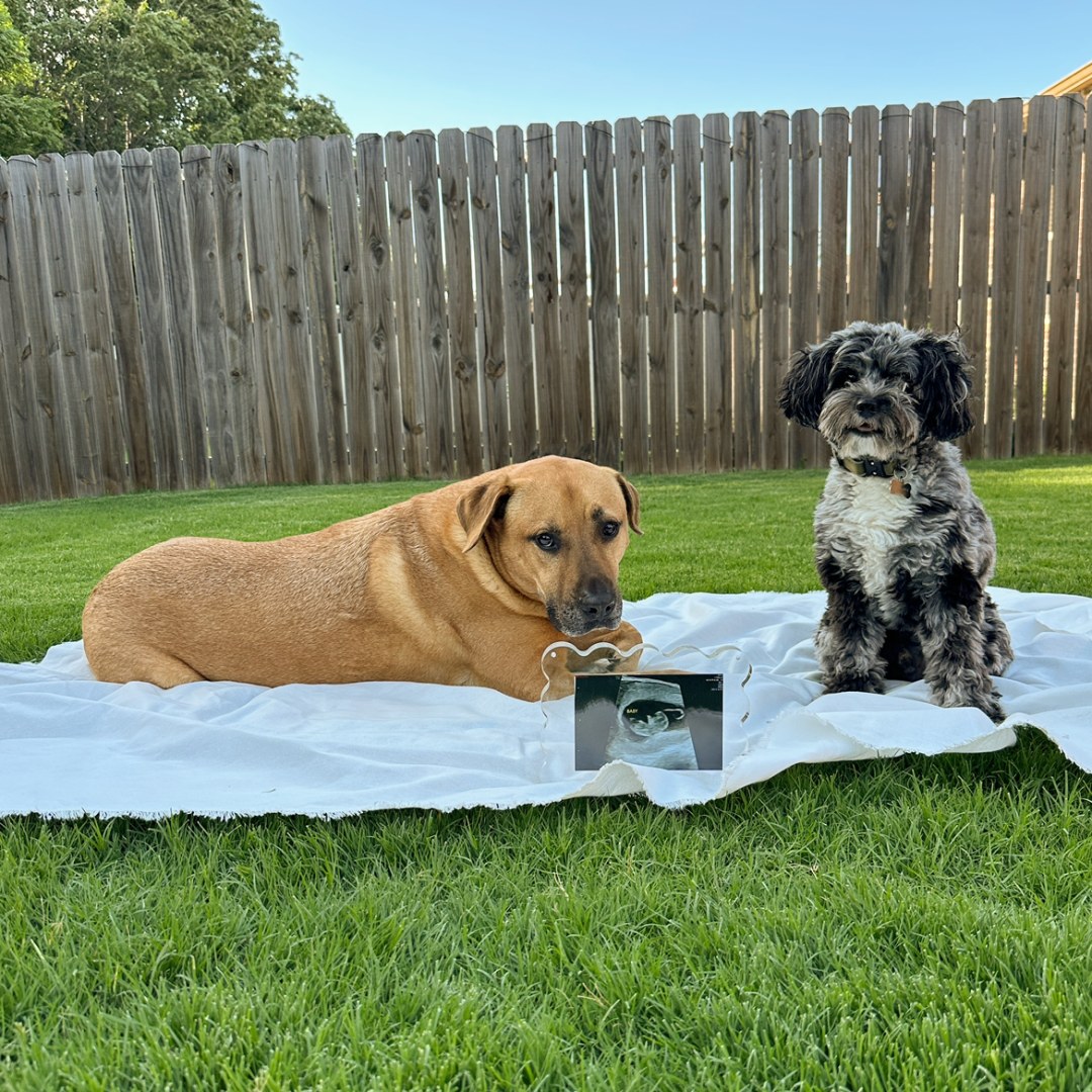 Photo shared by Rachel for their Babylist baby registry.