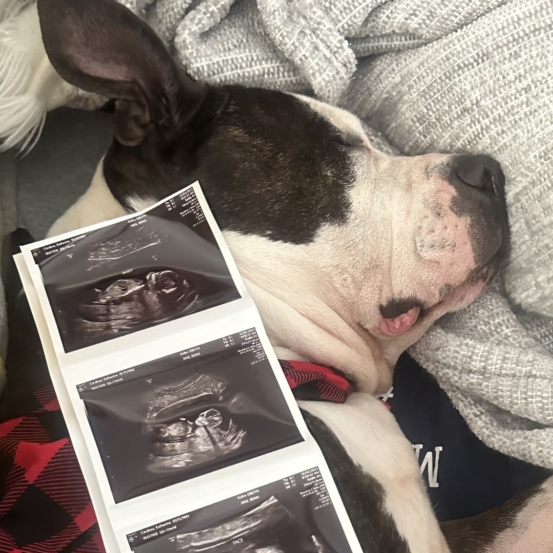 Photo shared by Katie for their Babylist baby registry.