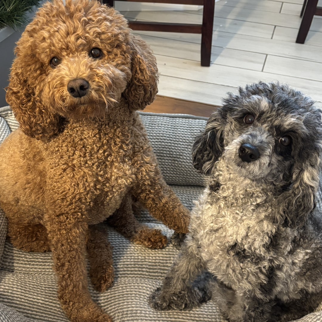 Photo shared by Alex for their Babylist baby registry.