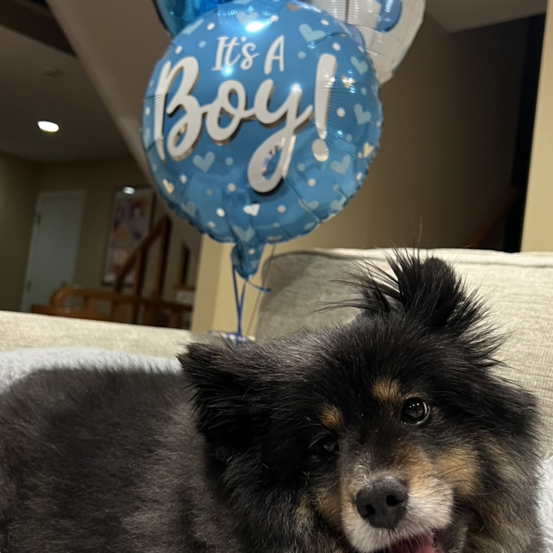 Photo shared by Ali for their Babylist baby registry.