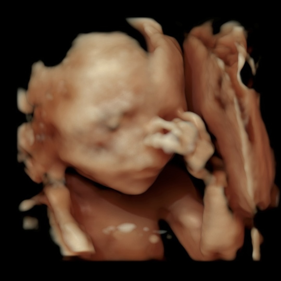 Photo shared by Sonya for their Babylist baby registry.