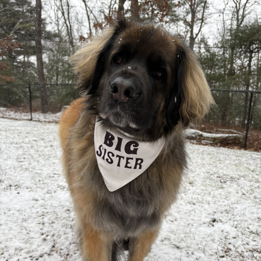 Photo shared by Kayla for their Babylist baby registry.